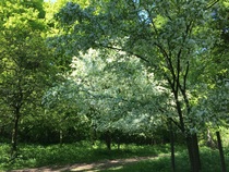 User post image