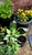 User post image