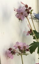 User post image