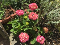 User post image