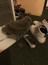 User post image