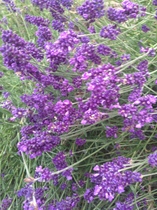 User post image