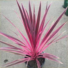 User post image