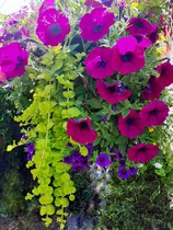 User post image