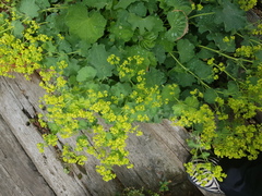 User post image
