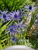 User post image