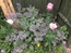 User post image