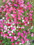 User post image