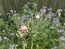 User post image