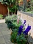 User post image