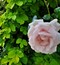 User post image