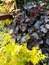 User post image