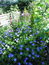 User post image