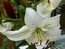 User post image