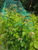 User post image