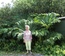 User post image