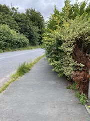 User post image