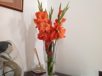 User post image