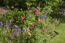 User post image