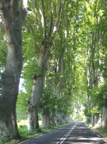 User post image