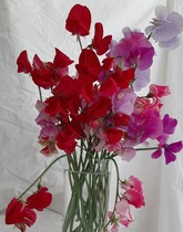 User post image