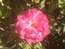 User post image