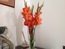 User post image