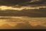 User post image