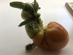 User post image