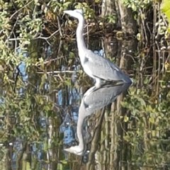 User post image