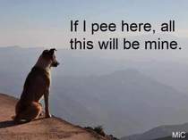 User post image