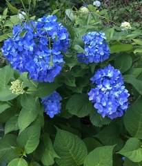 User post image