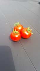 User post image
