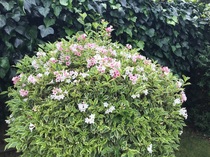User post image