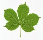 User post image