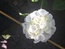 User post image