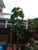 User post image