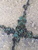 User post image
