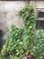 User post image