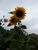 User post image