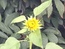 User post image