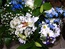 User post image
