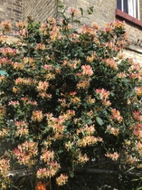 User post image