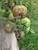 User post image