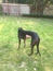 User post image