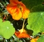 User post image