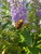 User post image