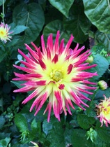 User post image