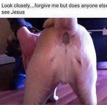 User post image