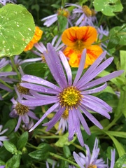 User post image